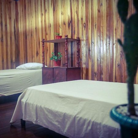 蒙特洛斯里睿奥斯小屋住宿加早餐旅馆 Monteverde 外观 照片