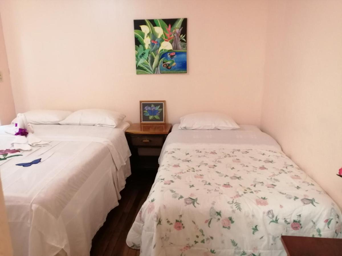 蒙特洛斯里睿奥斯小屋住宿加早餐旅馆 Monteverde 外观 照片