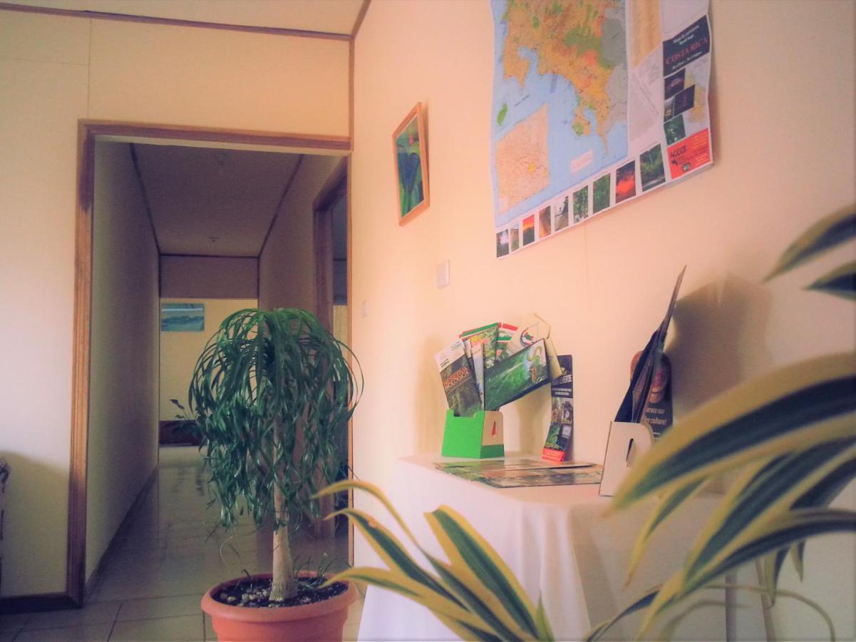 蒙特洛斯里睿奥斯小屋住宿加早餐旅馆 Monteverde 外观 照片